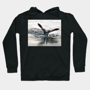 Ice Breaker Hoodie